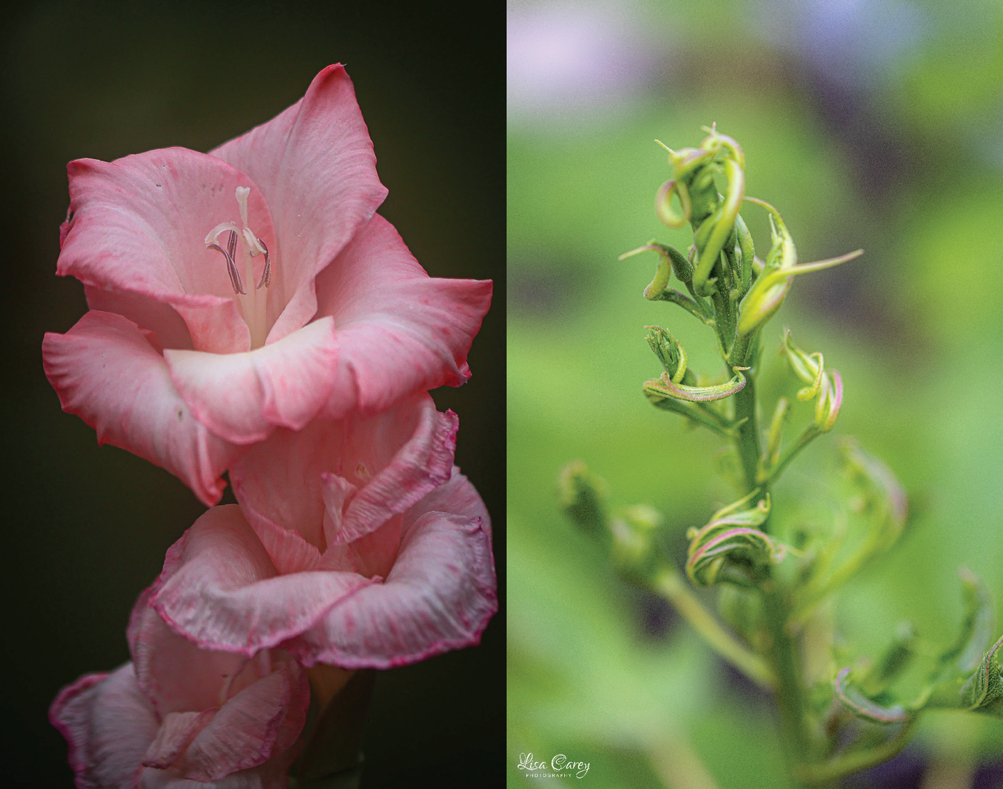 Living in the Moment on Nature’s Time