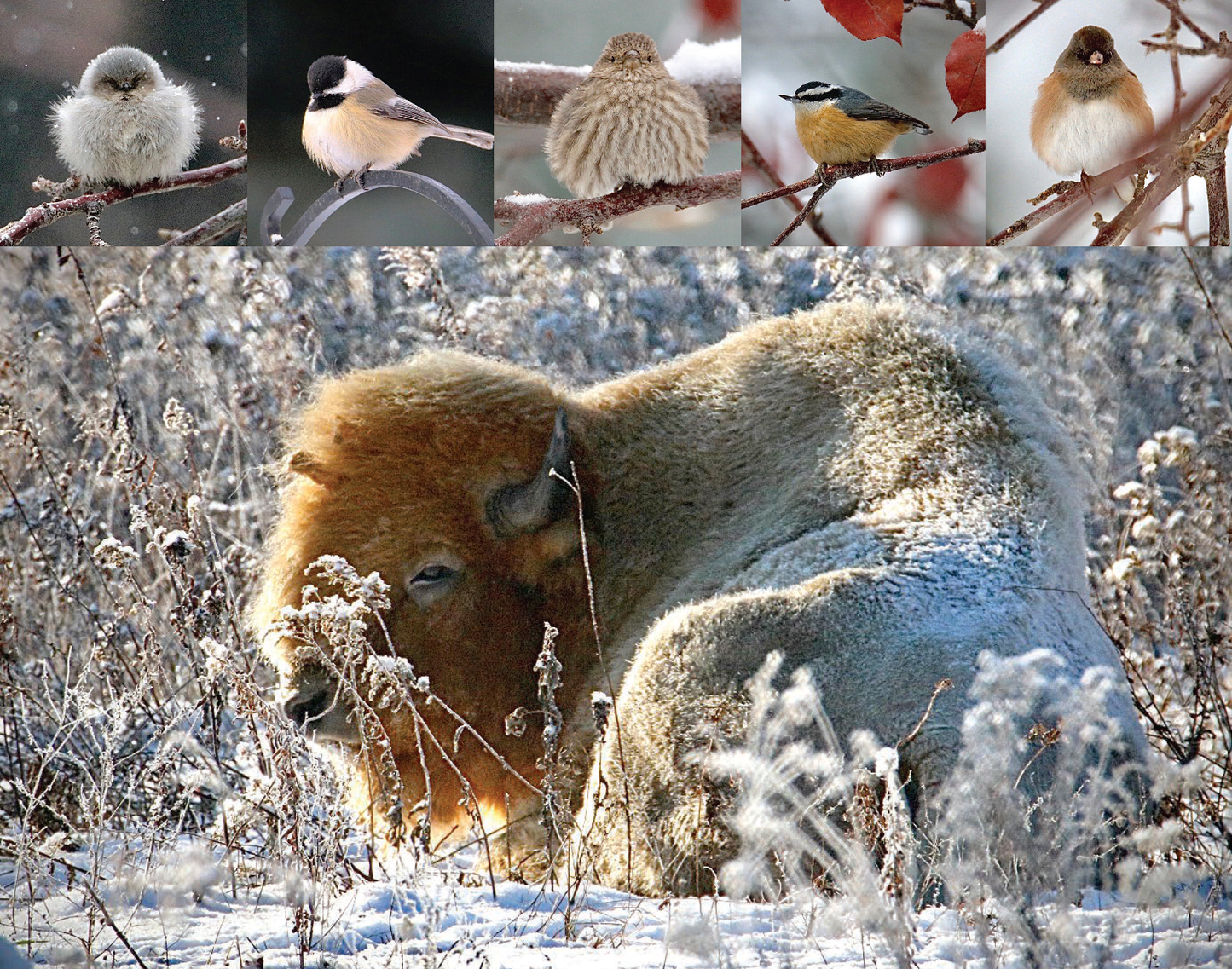 Living in the Moment on Nature’s Time