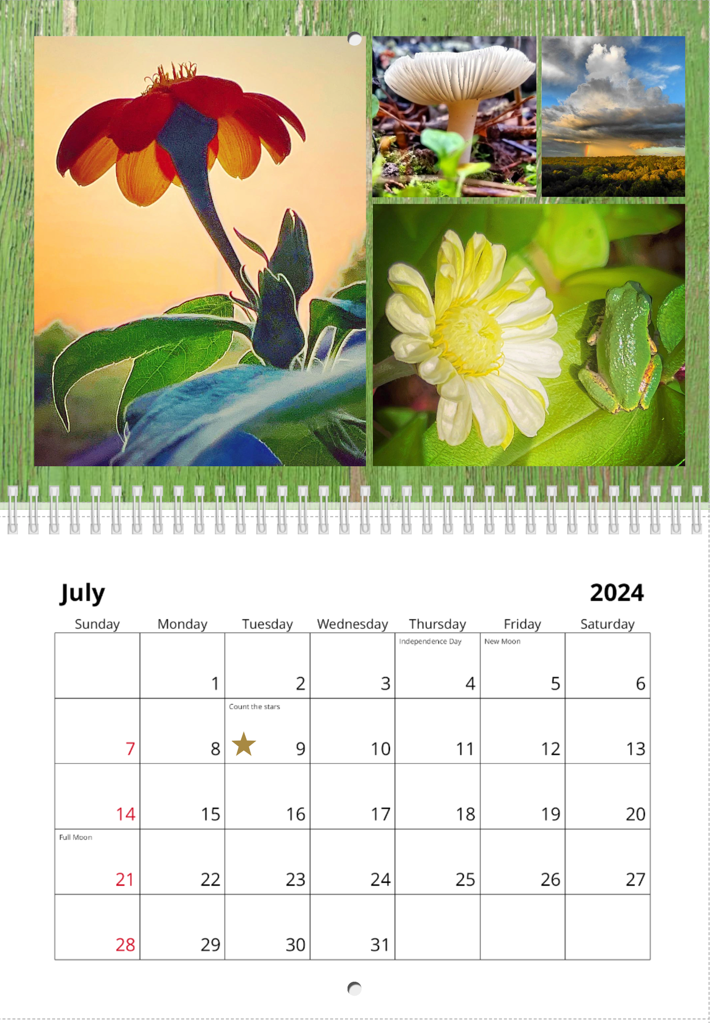 Finding Everyday Magic 2024 Wall Calendar