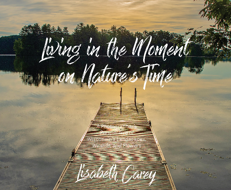 Living in the Moment on Nature’s Time