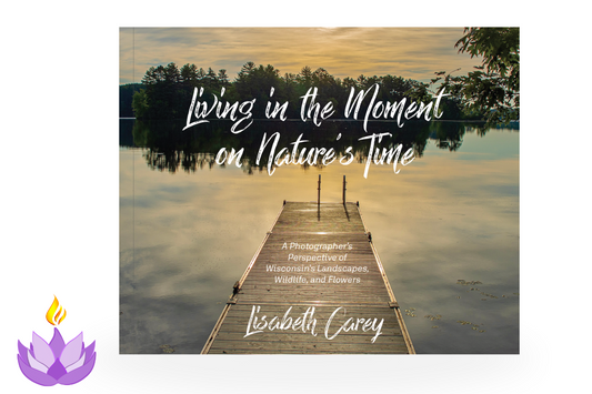 Living in the Moment on Nature’s Time