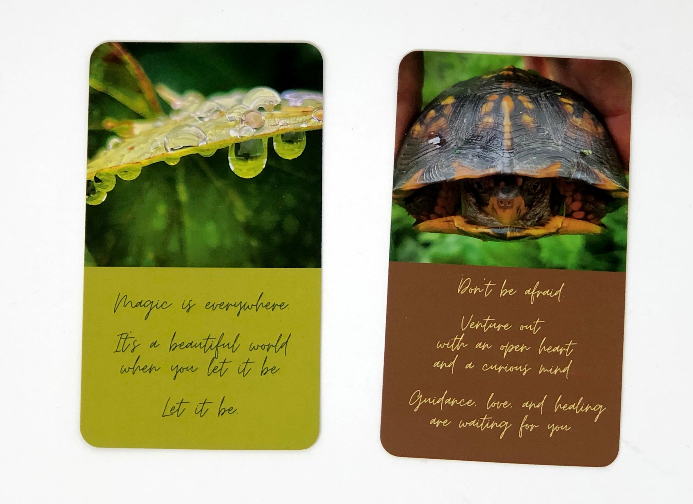 Finding Everyday Magic Daily Inspiration Cards — Inner Peace Press